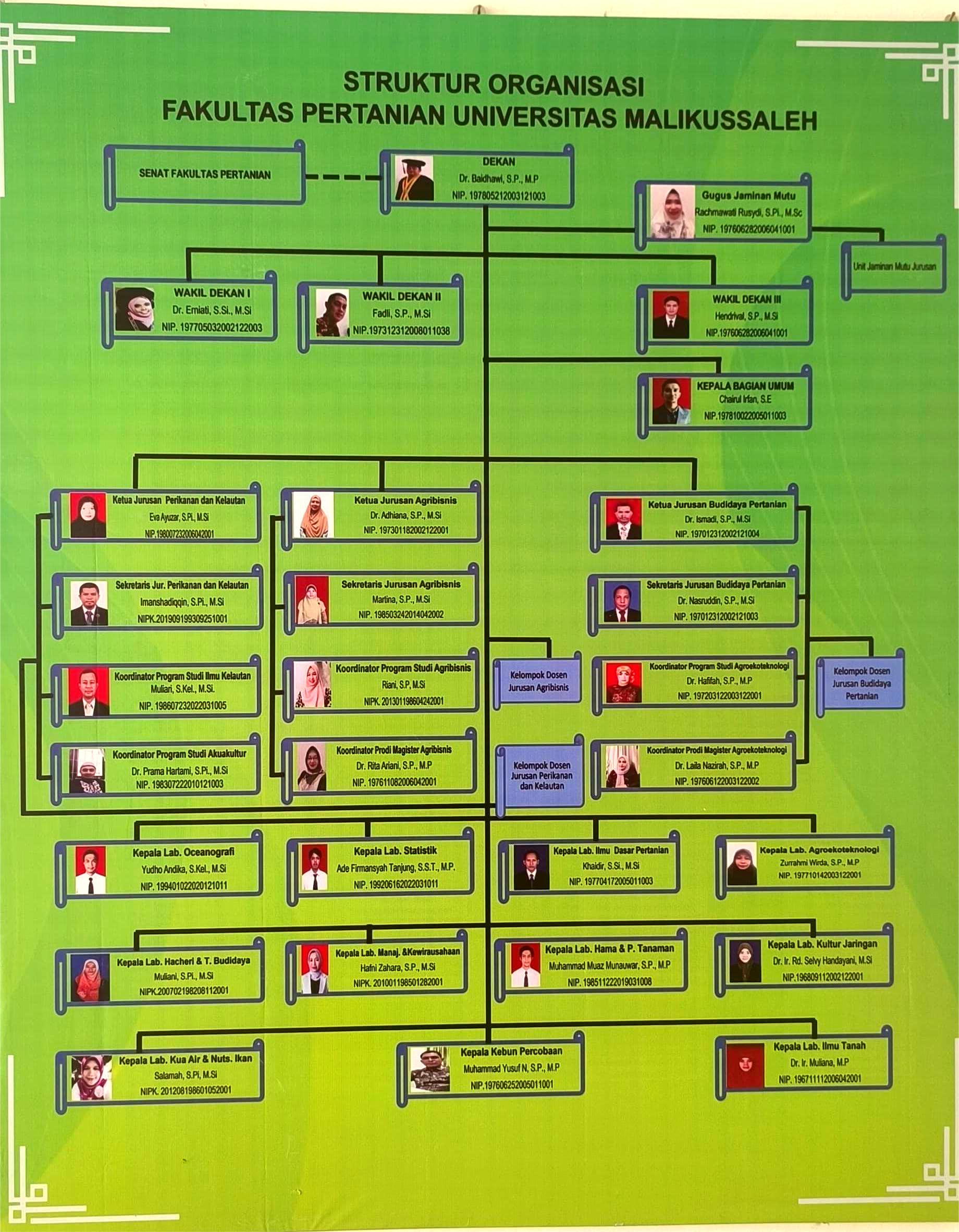 STRUKTUR ORGANISASI FP